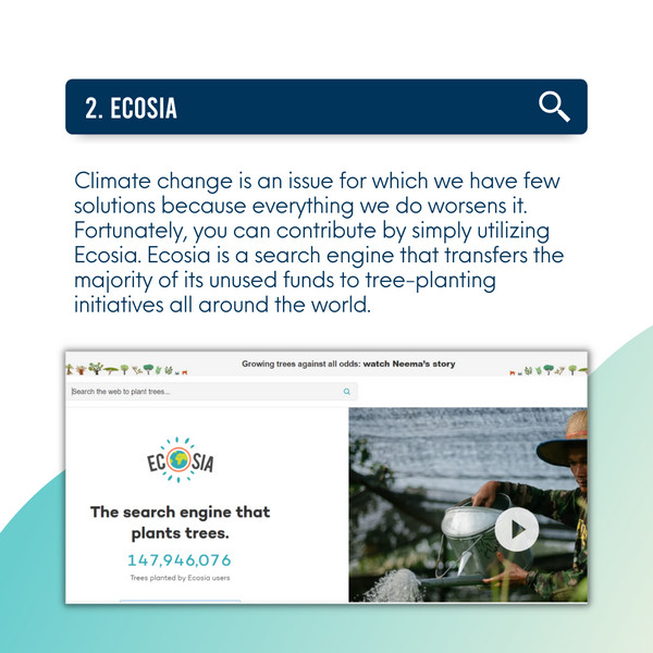 ecosia search engine - YDBS marketing agency