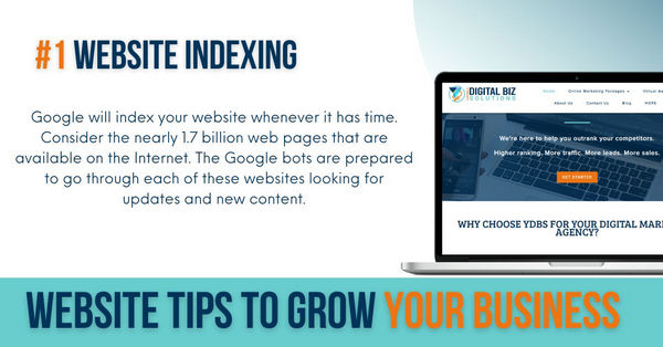 website indexing